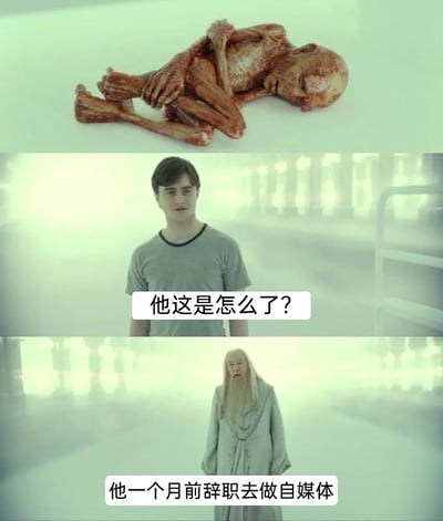 这是一张由《哈利·波特》系列电影截图改编的三格连环梗图，第一格展示了一个形如干尸、极度枯瘦的人形蜷缩躺卧，状态凄惨；第二格是哈利·波特面露疑惑，配文提问“他这是怎么了？”；第三格是阿不思·邓布利多给出回答“他一个月前辞职去做自媒体”。该梗图以夸张、戏谑的方式，调侃了自媒体行业需要投入大量时间与精力，从业者往往会因此疲惫憔悴的现状，用影视IP的场景结合现实职场话题制造笑点。