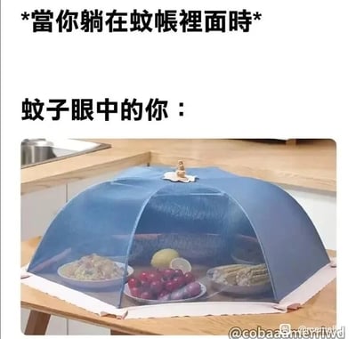 这是一张生活化的搞笑梗图，图片上方分两行标注文字：“当你躺在蚊帐里面时”“蚊子眼中的你：”，下方展示了一个厨房场景：木质餐桌上摆放着几盘做好的饭菜，包括炒饭、樱桃类水果、玉米等，这些食物被一个蓝色的网纱菜罩完全罩住。图中通过类比的方式，将蚊帐里的人比作菜罩中的食物，调侃蚊子看待蚊帐里的人类，就像人类看待罩在菜罩里的食物一样，充满了想要“享用”的渴望，用日常常见的场景精准制造出幽默效果，能够引发被蚊子困扰的人群的强烈共鸣。