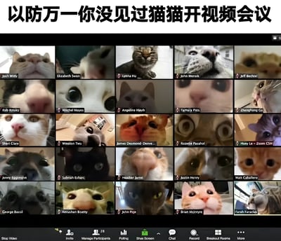 图片模拟视频会议界面，以多格拼接形式展示了20只不同表情的猫猫“参会者”，每只猫下方配有类似参会人姓名的标签（如“Josh Witry”“Elizabeth Swan”等）。顶部配有醒目文字“以防万一你没见过猫猫开视频会议”，通过将猫咪可爱的面部特写与严肃的远程办公场景结合，营造出幽默反差感，是对线上会议文化的趣味调侃。