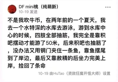 这是一张社交媒体社群的发言截图，用户“DF mini桃（纯萌新）”在10月19日发布了一段荒诞至极的吹牛内容，全程使用低俗谐音梗：用“积吧”谐音指代男性私密部位、“钢门”谐音指代肛门、“赦精”谐音指代射精，编造自己在深水水库游泳时四肢抽筋，先是靠该私密部位摆动游了50米，该部位抽筋后又用肛门夹住鱼，靠鱼摆尾到达岸边，最后靠射精的后坐力上岸的离谱经历，内容完全是虚构的恶搞段子，用来制造荒诞搞笑的效果，同时借助低俗谐音表述博人眼球。截图底部显示该内容由用户“HuTao（资敌狂魔开怪大师）”在10-19设置。