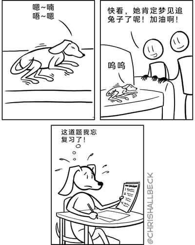 这是一幅三格黑白连环卡通漫画，采用动物拟人的手法制造笑点。第一格中，一只狗狗在睡觉时四肢做出奔跑的动作，还发出梦呓；第二格中，两名路人趴在桌边看着这只狗狗，误以为它梦到了追兔子，还笑着为它加油；第三格揭示了狗狗的真实梦境：它坐在桌前面对试卷，满脸焦虑，内心想着“这道题我忘复习了！”，用路人的误解和狗狗真实梦境的反差，将狗狗睡觉蹬腿的行为和人类的考试焦虑结合，营造出幽默的效果。