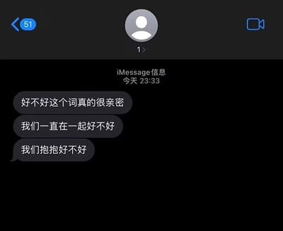 这是一张iMessage聊天记录截图，显示了一段充满亲密感的对话。界面背景为黑色，顶部有用户头像（灰色默认头像）、返回按钮（左侧显示“51”未读消息）和视频通话图标。消息时间为“今天 23:33”，包含三条连续发送的对话气泡：“好不好这个词真的很亲密”“我们一直在一起好不好”“我们抱抱好不好”，通过重复使用“好不好”表达情感诉求，整体氛围温馨细腻。