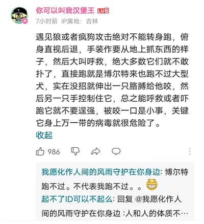 这是一张来自哔哩哔哩（B站）的社交媒体评论区截图，IP属地为吉林的LV6用户“你可以叫我汉堡王”发布了一条关于遭遇狼或疯狗攻击时的安全应对建议，详细说明了多种应对策略：包括不要转身逃跑，应俯身直视后退、假装从地上抓东西来恐吓对方并大声呼救；指出即使是短跑名将博尔特也跑不过大型犬，若无法逃脱可以牺牲一只胳膊让其咬住，再用另一只手控制住动物，同时提醒要警惕动物可能携带的病毒风险。该评论获得了986个点赞，下方有两条用户回复，一条是用户“我愿化作人间的风雨守护在你身边”调侃“博尔特跑不过。不代表我跑不过。。”，另一条是用户“起不了ID可以不起么”以“人和人的体质不…”的常见梗回复该调侃，形成了实用知识分享与趣味互动结合的内容。