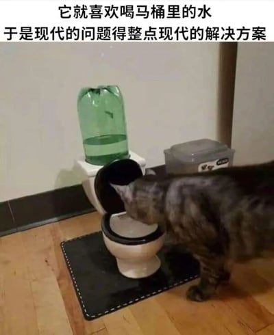 图片中一只虎斑猫正低头从一个小型马桶的 bowl 里喝水，马桶上方倒置着一个绿色塑料水瓶，瓶内有水，显然被改造成了自动续水装置。图片上方配有文字“它就喜欢喝马桶里的水 于是现代的问题得整点现代的解决方案”，幽默展现了宠物主人针对猫咪爱喝马桶水的习性，用 DIY 方式制作“专属马桶饮水器”的搞笑场景。