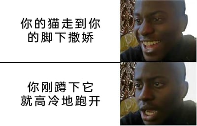 暂无描述