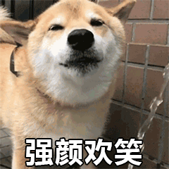 柴犬强颜欢笑表情包GIF