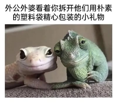 图片上方配有文字“外公外婆看着你拆开他们用朴素的塑料袋精心包装的小礼物”，下方是两只蜥蜴的照片。其中一只为浅色（可能是守宫），另一只为绿色（可能是变色龙），它们并排趴在一起，眼睛都看向镜头方向，表情显得温和而充满期待，幽默地模拟了外公外婆看着晚辈拆礼物时的慈爱眼神，整体氛围温馨又搞笑。