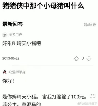 这是一张问答平台截图，展示了关于动画《猪猪侠》中小母猪角色名称的提问与回答。问题为“猪猪侠中那个小母猪叫什么”，下方显示两条用户回答。第一条来自匿名用户（2013-06-29发布）称“好象叫晴天小猪吧”，第二条用户“众爱卿平身”则愤怒回应“是你妈晴天小猪。害我打赌输了100元。菲菲公主。草泥马的”，暴露了角色名称的争议和用户因错误答案导致的经济损失。