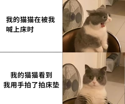 这是一张上下对比的双格图片，展示了同一只灰白色猫咪对主人不同指令的有趣反应。上半部分文字说明"我的猫猫在被我喊上床时"，对应的猫咪张着嘴巴，表情似乎带着不满或惊讶；下半部分文字说明"我的猫猫看到我用手拍了拍床垫"，此时猫咪瞪大眼睛，耳朵竖起，表情变得专注认真。两张图片形成鲜明对比，幽默地表现了猫咪对不同沟通方式的差异化反应。