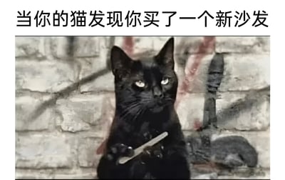 图片展示了一只表情严肃的黑猫，它正用爪子拿着一个类似刀片的物体，背景是一面砖墙。图片上方配有文字'当你的猫发现你买了一个新沙发'，通过猫的威胁性姿态幽默地表现了猫咪喜欢抓挠新家具的行为特点。