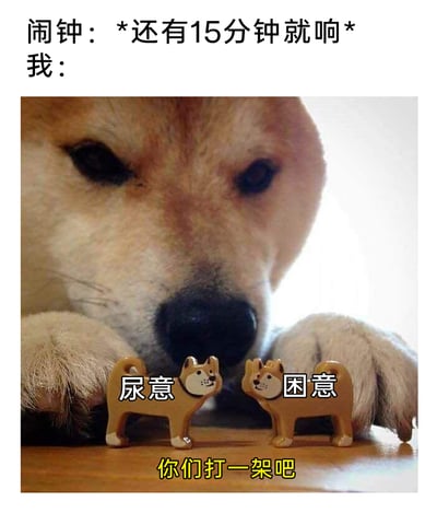 这是一张精准戳中生活痛点的搞笑梗图，上方文字设定场景：闹钟提示还有15分钟就响，代表“我”的是一只眼神疲惫、趴在桌上的柴犬，它的前爪之间摆放着两个柴犬造型小摆件，分别标注“尿意”和“困意”，底部配文“你们打一架吧”，生动又幽默地还原了很多人在起床前的纠结时刻——明明困得不想动，却又被尿意催促，陷入要不要起床的两难，用拟人化的方式把抽象的生理感受具象化，引发强烈的共鸣。