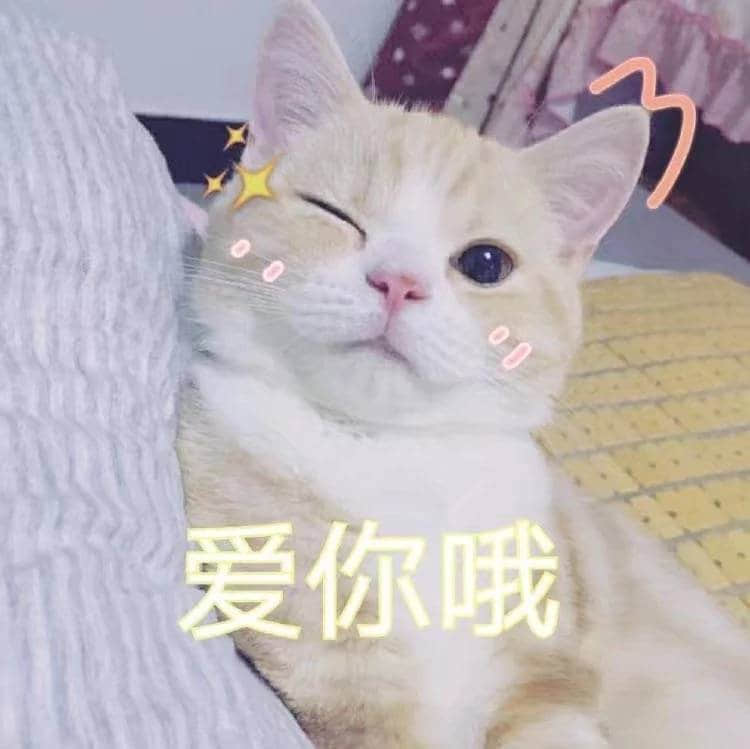 眯眼橘白猫比心表情包 爱你哦