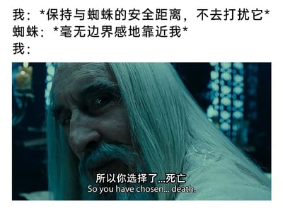 这是一张图文结合的搞笑梗图，上方以三段式文字构建了日常和蜘蛛互动的场景：原本“我”试图和蜘蛛保持安全距离、互不打扰，但蜘蛛却毫无边界感地主动靠近；下方配上《指环王》中萨鲁曼的面部特写截图，图中的字幕“所以你选择了...死亡”，精准地放大了“我”在蜘蛛越界后瞬间转变的愤怒、想要消灭蜘蛛的心态，用经典影视梗夸张地呈现出日常中遇到蜘蛛靠近时的情绪反差，风格诙谐有趣，精准戳中对蜘蛛有恐惧或在意边界感人群的情绪。