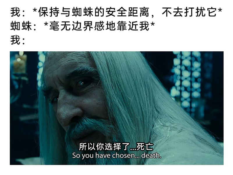 《指环王》系列电影