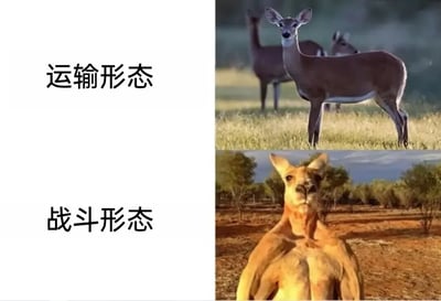 这张梗图通过左右对比的形式，左侧用文字标注“运输形态”和“战斗形态”，右侧分别配上普通鹿和肌肉发达的袋鼠图片，形成强烈反差萌。用动物形象幽默比喻两种不同状态，鹿的温顺形象对应“运输形态”，而袋鼠健壮的肌肉线条则夸张表现“战斗形态”，让人会心一笑。