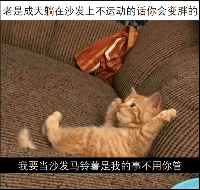 图片中一只橘猫惬意地躺在棕色沙发上，四肢伸展，身旁有一条橙红色毛巾。图片上方配有文字“老是成天躺在沙发上不运动的话你会变胖的”，下方文字则以猫的口吻回应“我要当沙发马铃薯是我的事不用你管”。整体通过可爱的猫咪形象与幽默的文字对比，调侃了“沙发马铃薯”式的慵懒生活方式，带有轻松诙谐的氛围。