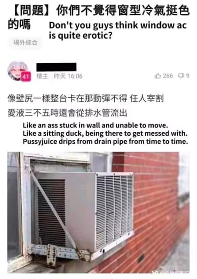 这张图片是一个社交媒体帖子截图，展示了一个关于窗式空调的低俗幽默讨论。帖子标题用中英文写道："你们不觉得窗型冷气挺色的吗 Don't you guys think window ac is quite erotic?"。帖子内容将窗式空调比喻为性暗示场景，称其"像壁尻一样整台卡在那动弹不得 任人宰割 爱液三不五时还会从排水管流出"，并配有一张窗式空调安装在砖墙上的照片。该帖子获得了266个赞和9条评论。