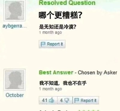 这是一张来自国外问答社区的网页UI静态截图，界面分为上下两部分：上方是提问者“aybgerra...”发布的已解决问题，标题为“哪个更糟糕？是无知还是冷漠？”，标注发布时间为1个月前，还有“Report It”的举报按钮；下方是被提问者选为最佳答案的用户“October”的回答，内容为“我不知道，我也不在乎”，同样标注发布时间为1个月前，回答下方有点赞41次、点踩4次的互动数据以及举报按钮。这个回答非常巧妙，“我不知道”对应问题中的“无知”，“我也不在乎”对应“冷漠”，用自嘲式的回应同时涵盖了问题里的两个选项，精准点题，形成了极具幽默感的效果，让原本严肃的问题变得趣味十足。