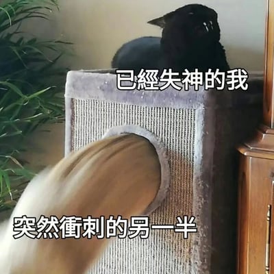 图片中一只黑猫正坐在猫抓板顶部，仰头张嘴，眼神涣散，呈现出“已经失神的我”的状态；猫抓板下方的圆形洞口处，一只浅色猫咪正以极快的速度冲刺出来，动作模糊，对应“突然衝刺的男一半”的文字描述。画面通过黑猫的呆滞与浅色猫的动态形成鲜明反差，幽默地展现了一方处于放空状态时，被另一方突然的活跃行为惊吓到的场景，十分生动有趣。