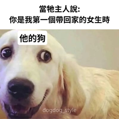 这是一张搞笑恋爱主题的表情包，采用顶配底文的图文混排形式，顶部配文设定场景：当狗的主人对女生说“你是我第一个带回家的女生”时，下方配图是一只双眼圆睁、神态看起来既震惊又暗含嘲讽的金毛犬，狗狗上方标注“他的狗”，暗指狗狗清楚记得主人之前带过其他女生回家，戳破了主人的谎话，通过狗狗的反应制造反差幽默效果，精准调侃了恋爱中男生撒谎的常见桥段。