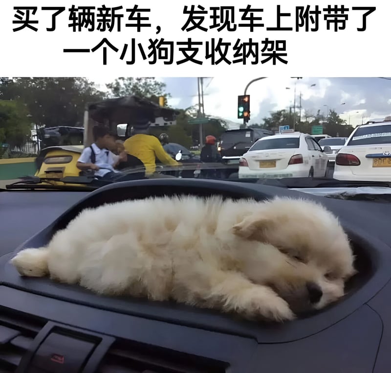 白色小狗