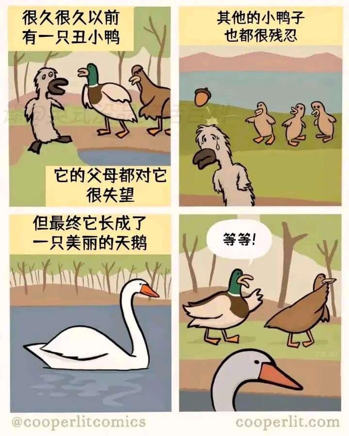 丑小鸭