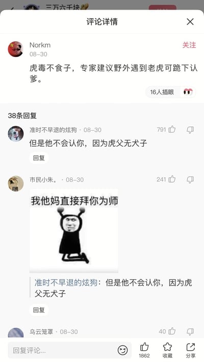 这是一张竖屏格式的社交媒体评论区截图，内容是网友围绕成语进行的恶搞玩梗互动：用户Norkm发布了一个恶搞段子，称“虎毒不食子，专家建议野外遇到老虎可跪下认爹”，玩了“虎毒不食子”的字面梗；用户“准时不早退的炫狗”回复了更巧妙的梗“但是他不会认你，因为虎父无犬子”，利用“虎父无犬子”的字面意思，将人暗喻为“犬子”，戳中笑点获得791个赞；用户“市民小朱。”则发布了一张带有搞怪卡通人物跪地跪拜的表情包，配文“我他妈直接拜你为师”，表达对该回复的佩服，整个评论区充满趣味性，是网友自发的网络玩梗互动内容。