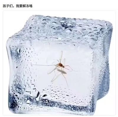 这是一张趣味合成梗图，将一只蚊子合成在冰块内部，在图片上方配文“孩子们，我要解冻咯”，用拟人化的口吻调侃，暗指天气转暖后蚊子即将再次出现，精准戳中人们对夏季蚊虫的无奈又好笑的心情，充满戏谑感。