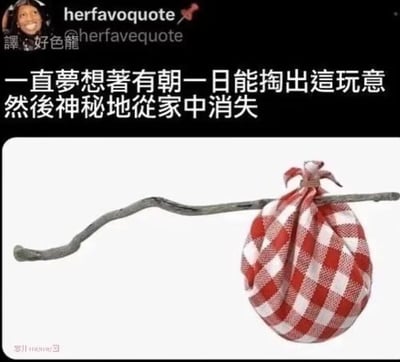 这张图片上方有一行中文文字："一直梦想着有朝一日能掏出这玩意然后神秘地从家中消失"，下方是一个红白格子布袋系在一根木棍上的图片，看起来像是传统的流浪汉背包。图片整体表达了一种想要带着简单行囊离家出走的幽默向往。