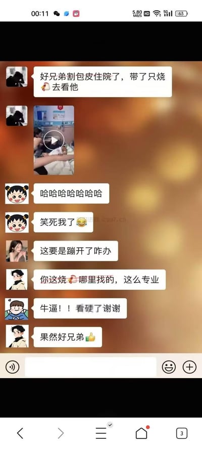 一张微信聊天记录截图，内容是关于朋友割包皮住院后，有人带烧鸭去探望的搞笑对话。对话中包含一个医院场景的视频缩略图，以及其他群成员的爆笑反应和调侃评论，如"这要是蹦开了咋办"、"你这烧鸭哪里找的，这么专业"等幽默互动。