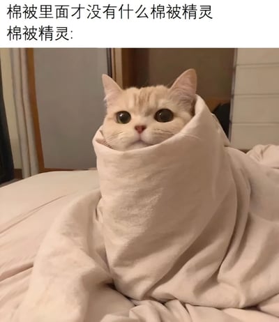 一张幽默梗图，上方文字写着"棉被里面才没有什么棉被精灵"和"棉被精灵:"，下方是一只被浅色棉被包裹的猫咪，只露出头部，瞪大双眼看着前方，仿佛就是文字中否认存在的"棉被精灵"。图片通过文字与图像的反差制造笑点，猫咪无辜又惊讶的表情增强了幽默效果。