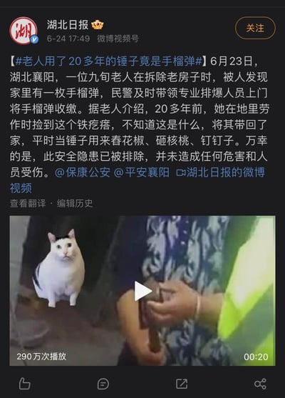 湖北日报于2022年6月24日发布微博新闻，内容为6月23日湖北襄阳一位九旬老人，20多年前在地里捡到一枚手榴弹，误以为是普通铁疙瘩，一直当锤子用来舂花椒、砸核桃、钉钉子，直到拆老房子时被发现，民警和排爆人员及时上门收缴，未造成人员伤亡。新闻视频中被拼接了一只表情震惊的网红猫“楼楼猫”，强烈的反差感让这条新闻既惊险又搞笑，引发大量关注，视频播放量达290万次。
无谐音梗、双关或暗示内容。