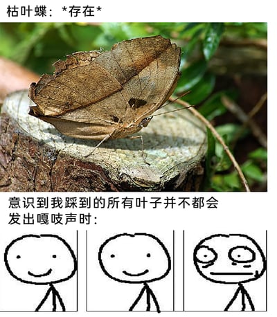 这是一张上下拼接的网络搞笑梗图，上半部分是一张原始拍摄的枯叶蝶照片，枯叶蝶停在树桩上，翅膀完美拟态成一片枯黄的落叶，配文“枯叶蝶：*存在*”，直观展示了枯叶蝶极强的伪装能力；下半部分是三格火柴人卡通漫画，配文“意识到我踩到的所有叶子并不都会发出嘎吱声时：”，三格火柴人依次呈现出平静微笑、维持微笑、瞳孔地震的表情变化，用夸张的神态递进，生动表现出人们突然意识到自己平时踩的「叶子」里可能混有伪装的枯叶蝶，自己可能不小心伤害到它们时的后怕与震惊，通过日常踩叶子的场景和枯叶蝶的拟态特性结合，制造出幽默的认知反差。