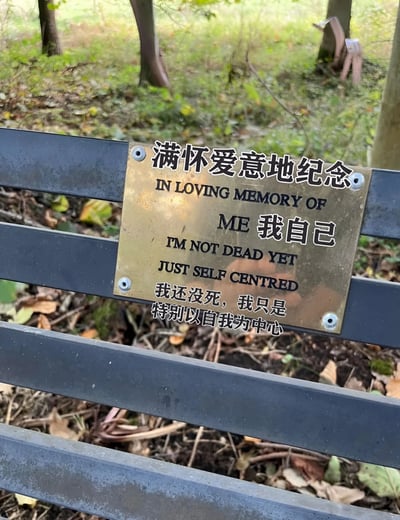 图片展示了一张公园长椅，长椅上固定着一块黄铜纪念牌。牌上用中英文写着幽默的文字：“满怀爱意地纪念 IN LOVING MEMORY OF ME 我自己 I'M NOT DEAD YET JUST SELF CENTRED 我还没死，我只是特别以自我为中心”。背景是公园的自然环境，有树木和落叶，整体氛围轻松诙谐，通过模仿纪念牌的形式自嘲“以自我为中心”。
