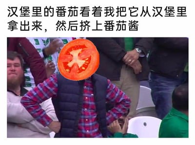 这是一张经过二次创作的搞笑合成梗图，上方配有文字“汉堡里的番茄看着我把它从汉堡里拿出来，然后挤上番茄酱”，图中核心元素是将一个双手叉腰、姿态充满不满的人物头部替换为切开的番茄，拟人化地表现出番茄对这种多余操作的无语与嫌弃；画面下方还有一个双手捂脸的观众，进一步烘托出这种操作的离谱和好笑，整体用幽默的方式吐槽把汉堡里的番茄拿出后再挤番茄酱的多余行为。