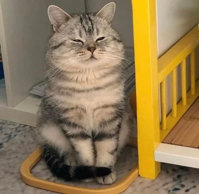 一只灰色虎斑猫正坐在黄色的小凳子上，双眼紧闭，嘴角微微上扬，仿佛在微笑，表情显得十分放松和满足。猫咪的毛发浓密，带有明显的黑色条纹，前爪并拢放在身前，姿态端正。背景中可以看到白色的柜子和浅色的地面，整体场景温馨治愈，展现了宠物日常的惬意瞬间。