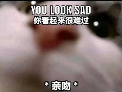 一张猫咪特写的梗图，图片中央是一只表情看起来有些悲伤的白色猫咪，眼睛大而圆，鼻子和嘴巴部分有些模糊。图片上方有英文文字"YOU LOOK SAD"和对应的中文翻译"你看起来很难过"，下方有"*亲吻*"的文字。整体营造出一种安慰、关心的氛围，通常用于在他人表现出悲伤情绪时发送以表达安慰。