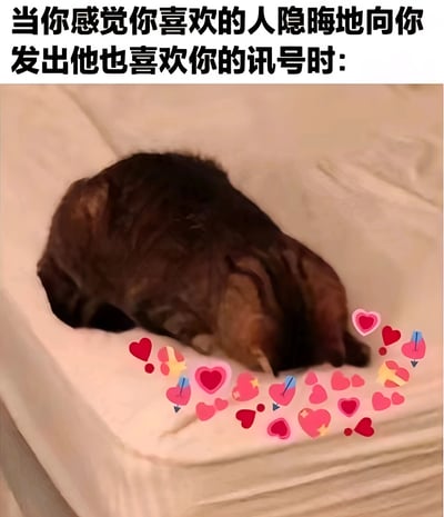 图片上方配有文字'当你感觉你喜欢的人隐晦地向你发出他也喜欢你的讯号时:'，下方是一只棕色小狗蜷缩在浅色的床上，身体团成一团，头部埋在身体里，周围点缀着多个粉色、红色的爱心和带箭头的爱心贴纸，整体营造出一种害羞、甜蜜又有点不知所措的恋爱氛围。