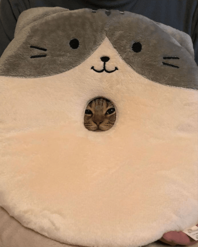 一只虎斑猫的脸从一个大型猫咪造型毛绒玩偶的圆形洞中探出，形成了有趣的视觉效果。玩偶设计有灰色的耳朵和面部，白色的身体，以及黑色的眼睛、鼻子和微笑的嘴巴。真实猫咪的表情平静，与玩偶的笑脸形成可爱对比。背景中可见抱着玩偶的人的上半身，但焦点完全在猫咪和玩偶的创意组合上。