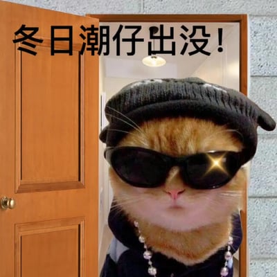 这张梗图描绘了一只戴着针织帽和项链的Doge站在门口，配文“冬日潮仔出没！”，整体氛围展现了冬天潮流穿搭风格。通过Doge的萌感与时尚穿搭形成反差，幽默调侃了冬日流行的潮人现象，带有轻松搞笑的日常气息。未发现谐音梗或明显双关，但整体语气模仿了“警告提示”，强化了趣味性。