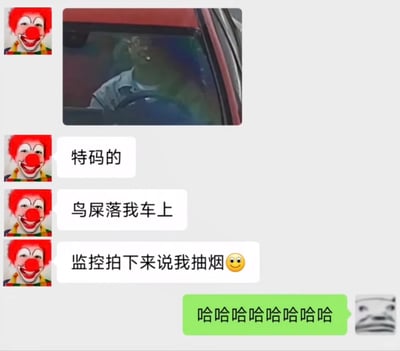 这是一张静态聊天记录截图，内容是一场充满荒诞幽默感的日常乌龙事件：头像为小丑的用户先发送了一张车内监控截图，图中前挡风玻璃上的鸟屎从监控视角看酷似人在抽烟，随后该用户接连吐槽“特码的”“鸟屎落我车上”“监控拍下来我说我抽烟😉”，另一个熊猫头头像的用户则以一串“哈哈哈哈哈哈哈哈哈”回应，完整记录了因鸟屎被监控误判成抽烟的社死又搞笑的瞬间。