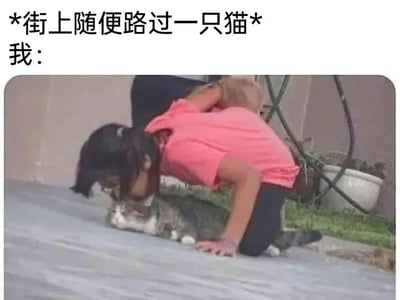 图片上方配有文字“*街上随便路过一只猫* 我：”，下方是一张真人照片：一名穿粉色上衣的人正弯腰靠近趴在地上的灰白相间猫咪，身体几乎贴近地面，展现出对偶遇猫咪的极度热情和喜爱。整体画面幽默地描绘了猫奴遇到随机猫咪时的夸张反应，充满生活气息和亲切感。