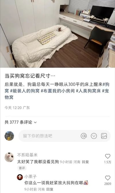 这张图片展示了一个舒适房间里的大型狗窝，由于主人买狗窝时未留意尺寸，结果买到了一个几乎可以让人睡的超大狗窝。狗窝上铺着被褥和枕头，狗狗体型小几乎难以在画面中一眼发现，形成强烈的空间反差。配文夹杂“狗霸总”“300平”等调侃和反差幽默，以及宠物溺爱梗；评论区也有“找狗”等互动式吐槽，整体氛围轻快，引发共鸣与玩笑。双关点主要体现在“买物品不看尺寸”+“狗窝变人床”+“找狗乐趣”。