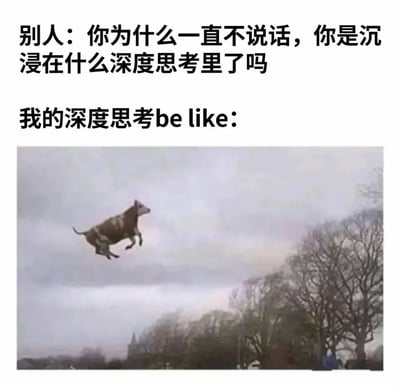 这张梗图通过文字与图片的幽默对比，展现了人们对沉默者的误解与实际内心状态的反差。上方文字描述别人询问为何不说话，是否在进行深度思考；下方则用一张奶牛在空中飞行的图片，幽默地表示所谓的"深度思考"其实是毫无逻辑的胡思乱想。