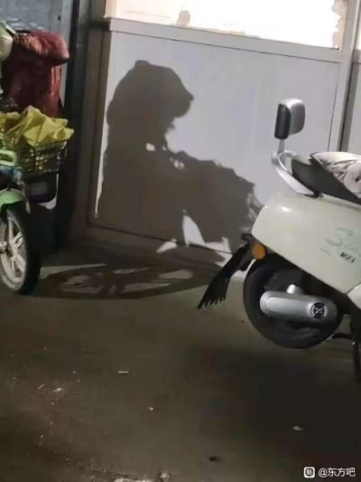 这张图片拍摄于一个类似车棚或楼道的停车区域，画面中有两辆电动车：左侧是一辆绿色电动车，车筐里放着黄色和红色的杂物；右侧是一辆白色电动车。墙面上映出的阴影造型神似一只大熊，仿佛正做出俯身的动作，实际上这是旁边电动车及物品的光影组合形成的视觉错位效果，地面还能看到电动车的轮影，这种巧合的光影效果十分有趣，容易让人第一眼误以为真的有熊在墙前。