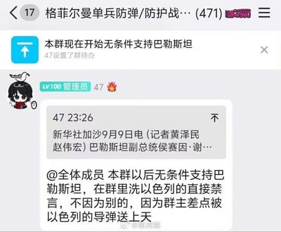 这是一张QQ群聊的截图，群名为「格菲尔曼单兵防弹/防护战…(471)」。群管理员「47（LV100）」首先设置群待办「本群现在开始无条件支持巴勒斯坦」，随后@全体成员发布群规：本群以后无条件支持巴勒斯坦，在群里为以色列洗白的直接禁言，原因是群主差点被以色列的导弹送上天，同时还附带了一段未显示完整的新华社关于巴勒斯坦的新闻内容截图。整个内容是群管理员基于群主的个人经历，定下群内的立场规则，没有双关、谐音梗或暗示内容。