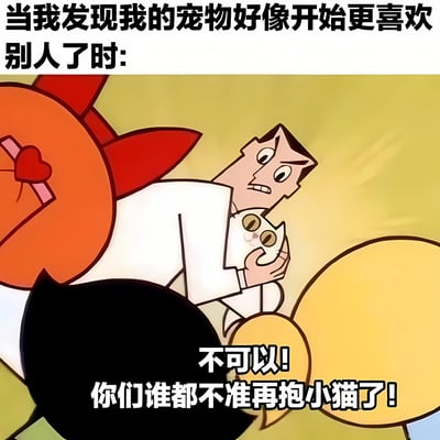 这是一张幽默梗图，上方文字写着'当我发现我的宠物好像开始更喜欢别人了时:'，下方是一个表情愤怒的卡通男性角色抱着一只白猫，旁边配有对白'不可以! 你们谁都不准再抱小猫了!'。图片通过夸张的表情和对话，幽默地表现了宠物主人发现自己的宠物可能更喜欢别人时的嫉妒和占有欲心理。