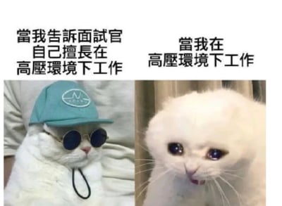 这张梗图用两只表情不同的猫猫，左边看起来很专业自信，右边完全崩溃呆滞，对比展现面试时和工作中应对压力的不同状态。左边文字为“当我告诉面试官自己擅长在高压环境下工作”，右边为“当我在高压环境下工作”。通过猫猫形象和强烈反差，吐槽实际和面试时说法的不符，引起打工族共鸣。没有明显谐音或双关，仅通过反差制造幽默感。