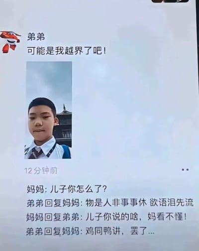 这是一张社交媒体聊天记录截图，展示了弟弟和妈妈之间有趣的对话。弟弟先发了一句'可能是我越界了吧!'，并配了一张自己穿着校服的照片。妈妈关切地问'儿子你怎么了?'，弟弟却用一句古诗词'物是人非事事休 欲语泪先流'回复，让妈妈完全无法理解，回复说'儿子你说的啥, 妈看不懂!'。弟弟最后无奈地表示'鸡同鸭讲, 罢了...'，幽默地展现了代际沟通中的语言差异和文化隔阂。