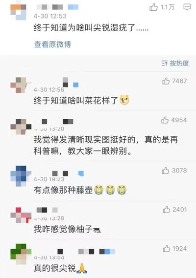 该图片为微博评论区截图，展示了多位用户围绕医学术语的命名由来及其外观特征展开的讨论。首条评论以“终于知道为啥叫尖锐湿疣了……”引发话题，随后其他用户相继留言，将相关医学特征比喻为“菜花样”“藤壶”“柚子”等，并使用了😺😱🙏等表情符号增强表达。评论时间集中在4月30日中午，点赞数从1924到1.1万不等，反映出该话题在短时间内引发的关注度。